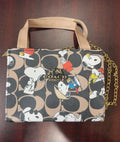Brown/Black Purse